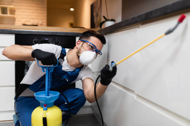 Best Wildlife Control Services  in Lincolnton, GA