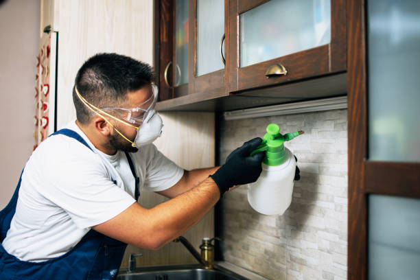 Best Commercial Pest Control Services  in Lincolnton, GA