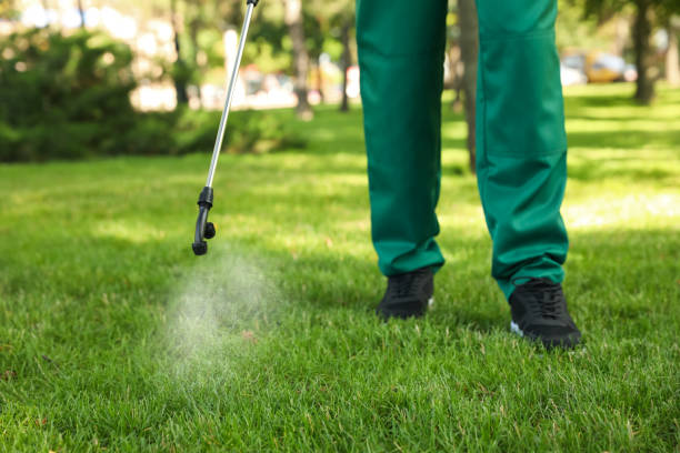 Best Pest Prevention Services  in Lincolnton, GA
