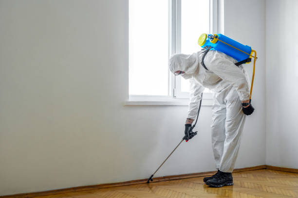 Lincolnton, GA Pest Control Company