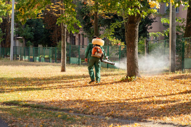 Best Termite Control Services  in Lincolnton, GA