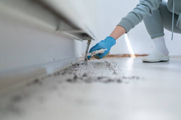 Professional Pest Control in Lincolnton, GA